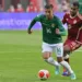 Bolivia's midfielder Robson Matheus (L) and Venezuela's midfielder Cristian Casseres fight for the ball during the 2026 FIFA World Cup South American qualifiers football match between Bolivia and Venezuela, at the Municipal stadium, in El Alto, Bolivia, on September 5, 2024. (Photo by AIZAR RALDES / AFP)