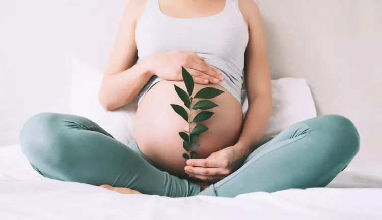 Fertilidad
