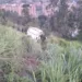 Tazón