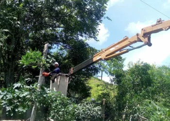 servicio eléctrico