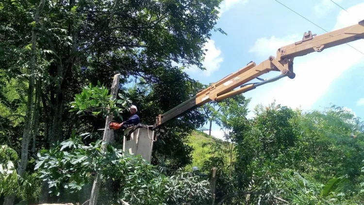 servicio eléctrico