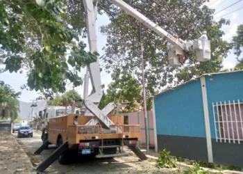 Corpoelec aplicó control de vegetación