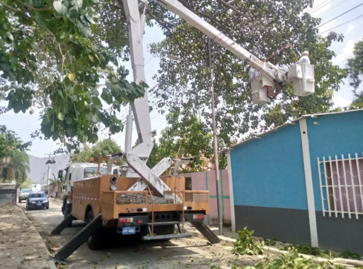 Corpoelec aplicó control de vegetación