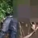 Encontraron cadáver de un hombre