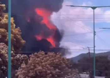 Incendio de gran magnitud en empresa