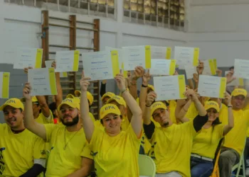 auxiliares de construcción