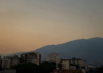 polvo