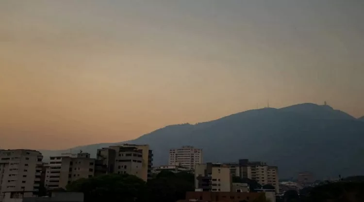 polvo
