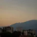 polvo