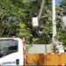 Corpoelec optimiza servicio eléctrico