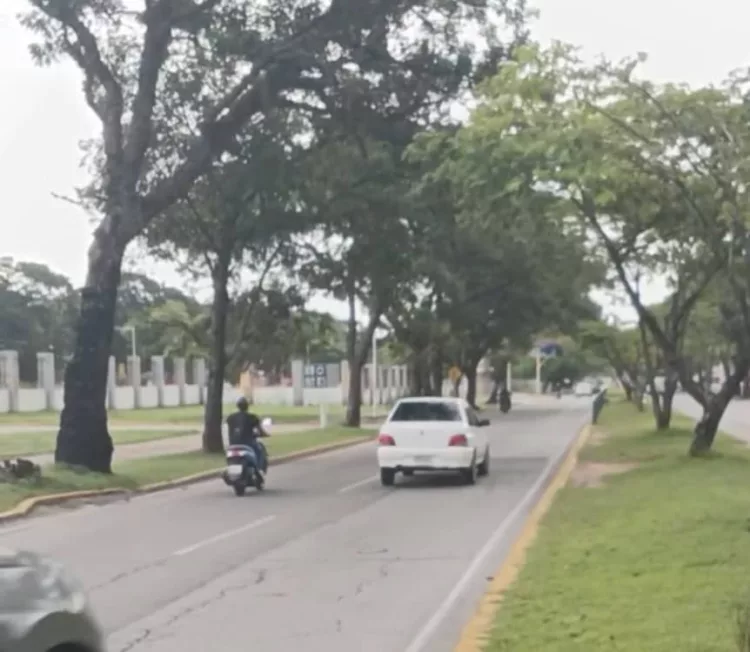Normalidad en la Av. Universidad