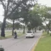 Normalidad en la Av. Universidad