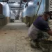 remodelación en la CHET