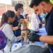 150 mascotas atendidas