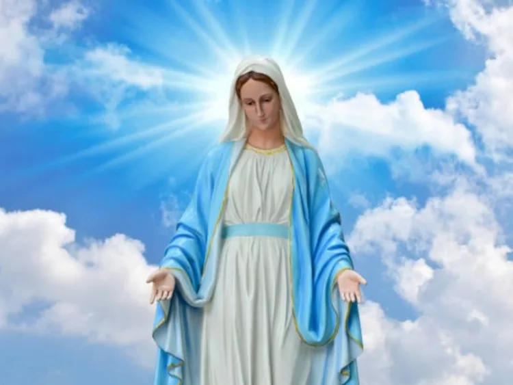 Festividad de la Virgen del Rosario