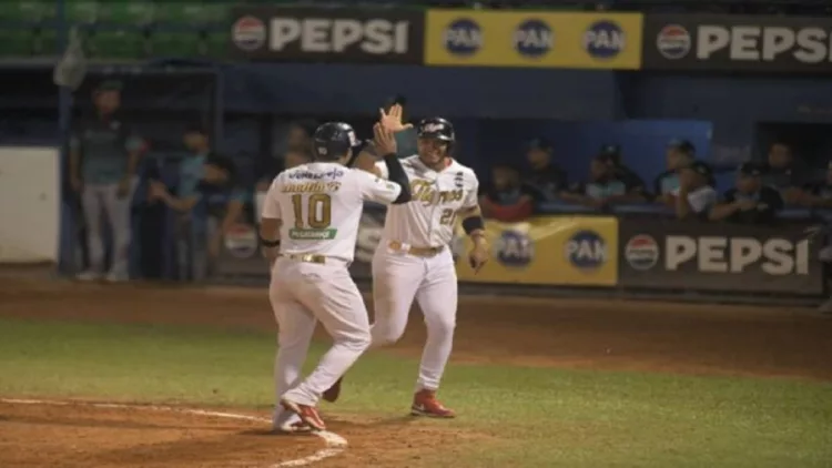 Liga Venezolana de Béisbol
