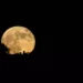 Superluna
