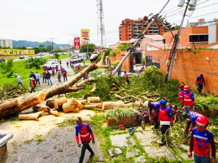 afectados por lluvias