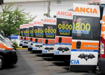 atendidos por 0-800 Bigote