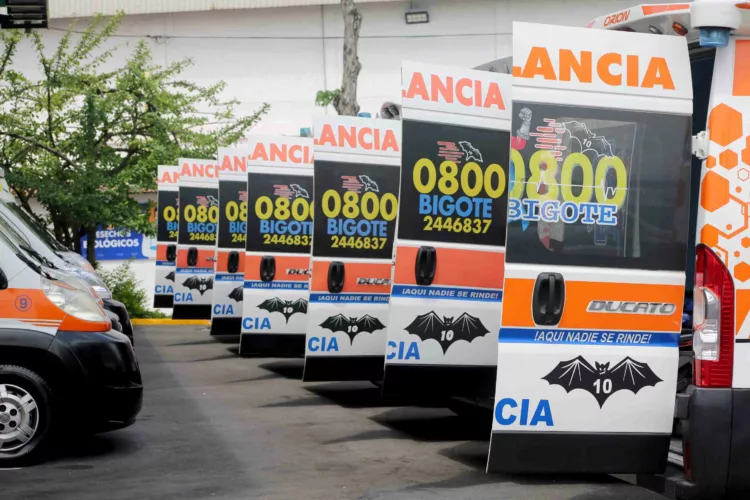 atendidos por 0-800 Bigote