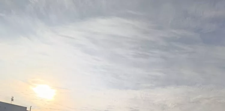 Pronóstico