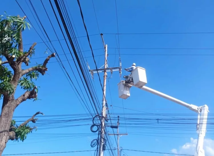 Mejoras en redes eléctricas benefician a más de 700 familias de los municipios Valencia y Los Guayos Estado Carabobo.-. Cuadrillas de la Corporación Electrica Nacional (CORPOELEC) ejecutaron labores de mantenimiento preventivo y correctivo en circuitos de distribución de energía de los municipios Valencia y Los Guayos del estado Carabobo. Este esfuerzo continuo por garantizar un servicio más estable y seguro benefició directamente a mas de 700 familias e incluyó la sustitución e instalación de componentes eléctricos y, a su vez, la poda de árboles que reposaban sobre el tendido eléctrico. Entre los sectores atendidos, destacan el barrio Venezuela, barrio El Consejo, sector Lomas de Funval, urbanización Ricardo Urriera, sector Ruiz Pineda, av. Principal Los Guayos, comunidad Félix Río Sur, comunidad Fundacion Félix Polito, entre otras. Esta medida preventiva se ejecutó con la finalidad de dar respuesta inmediata a las comunidades a través de la plataforma VenApp del 1 x 10 del Buen Gobierno, con el objetivo de proteger los equipos y garantizar la continuidad del servicio en las comunidades carabobeñas.