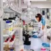 Día de la industria farmacéutica