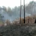 Incendios de vegetación