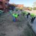 Maternidad del Sur