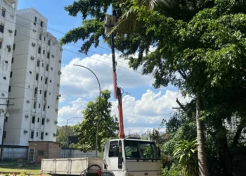 control de vegetación