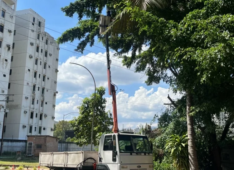 control de vegetación