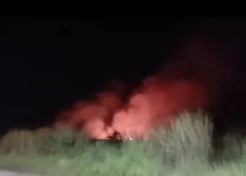 incendios de vegetación