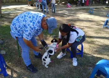 100 mascotas