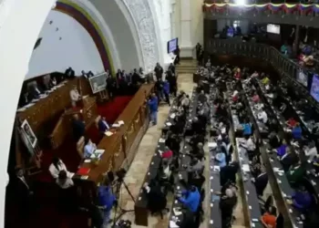 Ley de Amnistía
