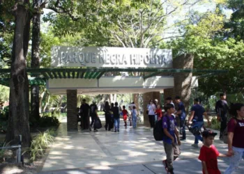 El corredor deportivo funcionará todos los domingos, desde las 6:00 de la mañana hasta las 12:00 del mediodía.