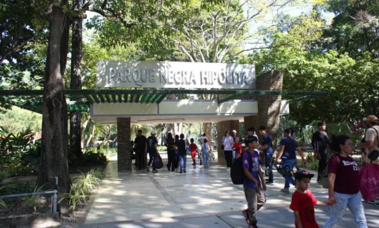 El corredor deportivo funcionará todos los domingos, desde las 6:00 de la mañana hasta las 12:00 del mediodía.