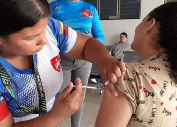 El Gobierno intensifica la vacunación contra la fiebre amarilla.