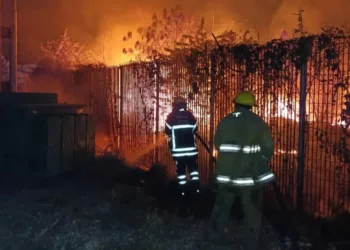 incendio de vegetación