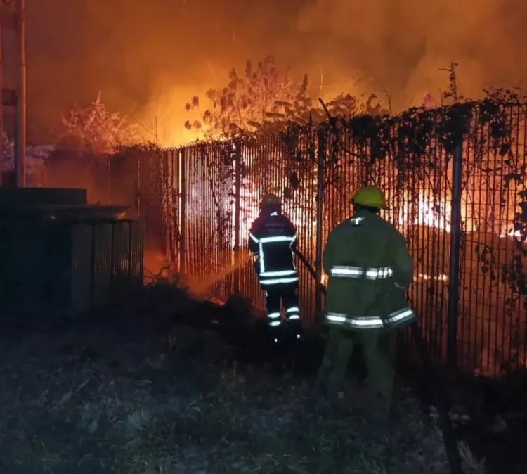 incendio de vegetación