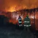 incendio de vegetación