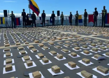 Autoridades incautan más de 280 Kilogramos de droga durante procedimientos en Lara y Falcón.