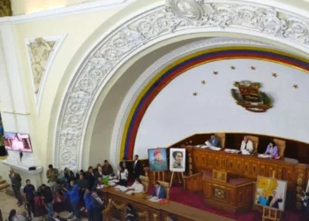 Ley Orgánica de Minería