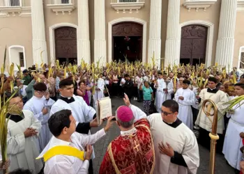 Feligreses participaron en la bendición de las palmas, este Domingo de Ramos.