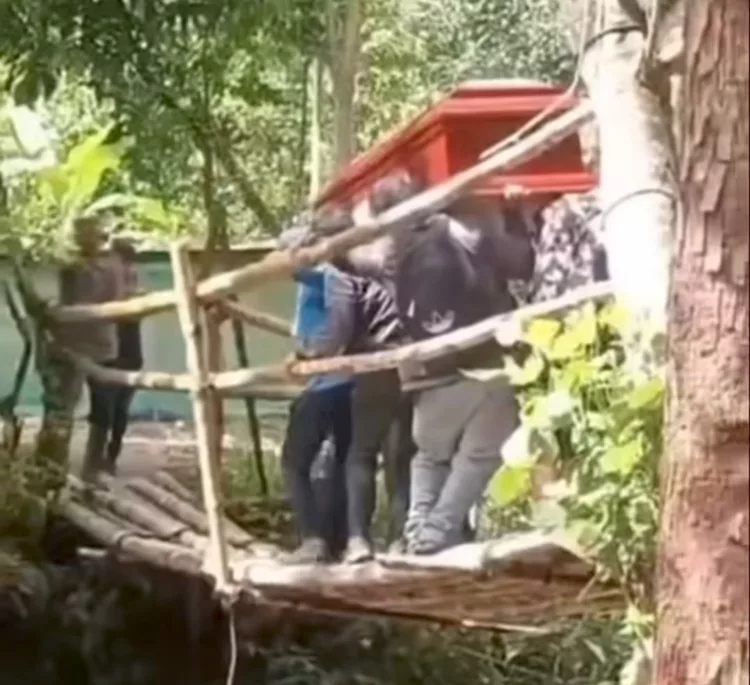 Puente colapsó