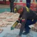 comercialización de chigüire
