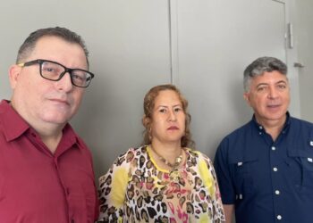 cursos de verano