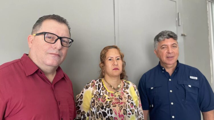cursos de verano