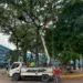 El Plan de Optimización de Espacios potenciará áreas como el corredor vial, los estacionamientos y plazas de la CHET.