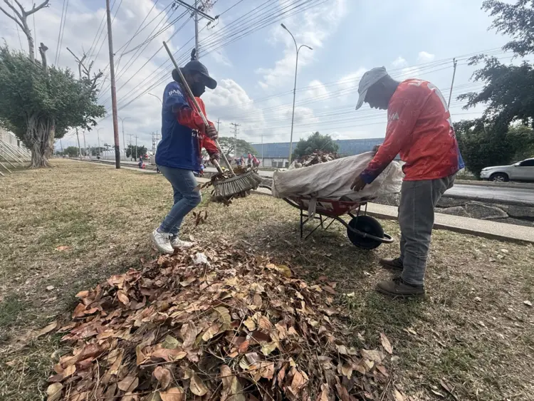 Jornada Integral