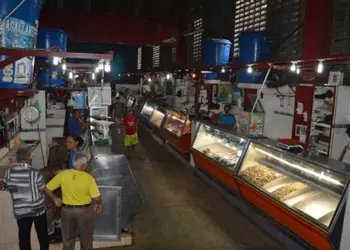 "Una luz para el comercio" plantea una opción viable y rentable para los comerciantes ante los constantes apagones.